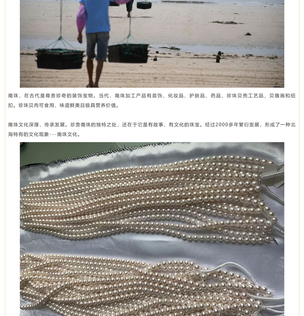古老南珠，綻放異彩