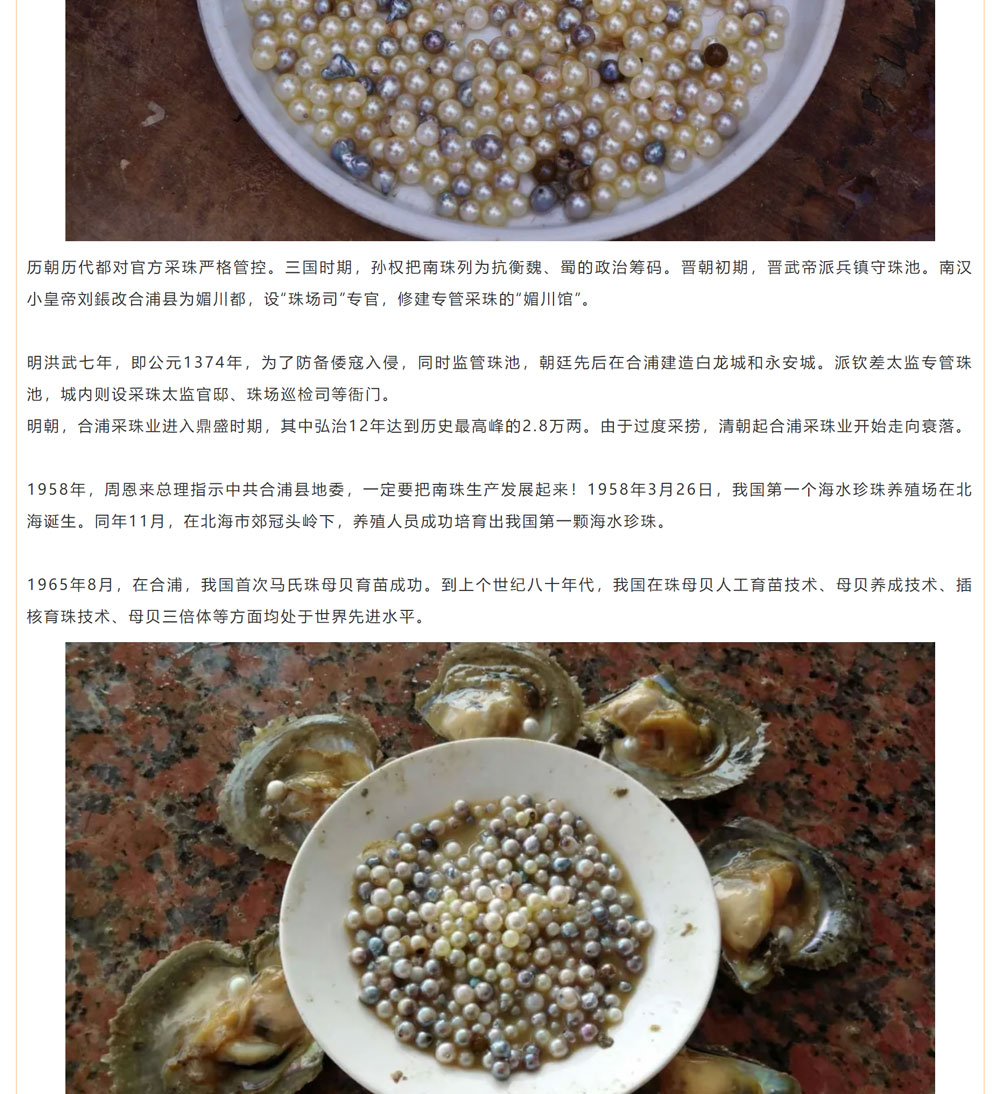 古老南珠，綻放異彩