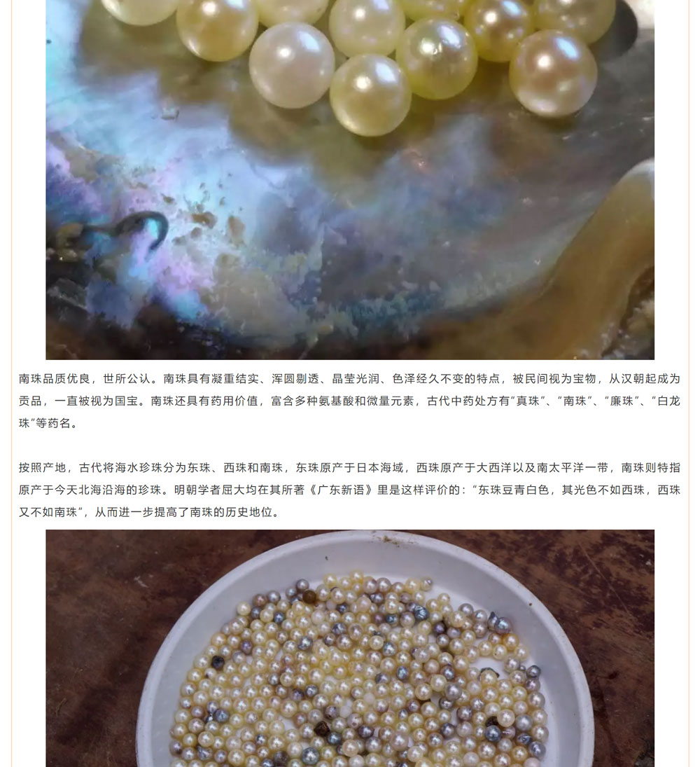 古老南珠，綻放異彩