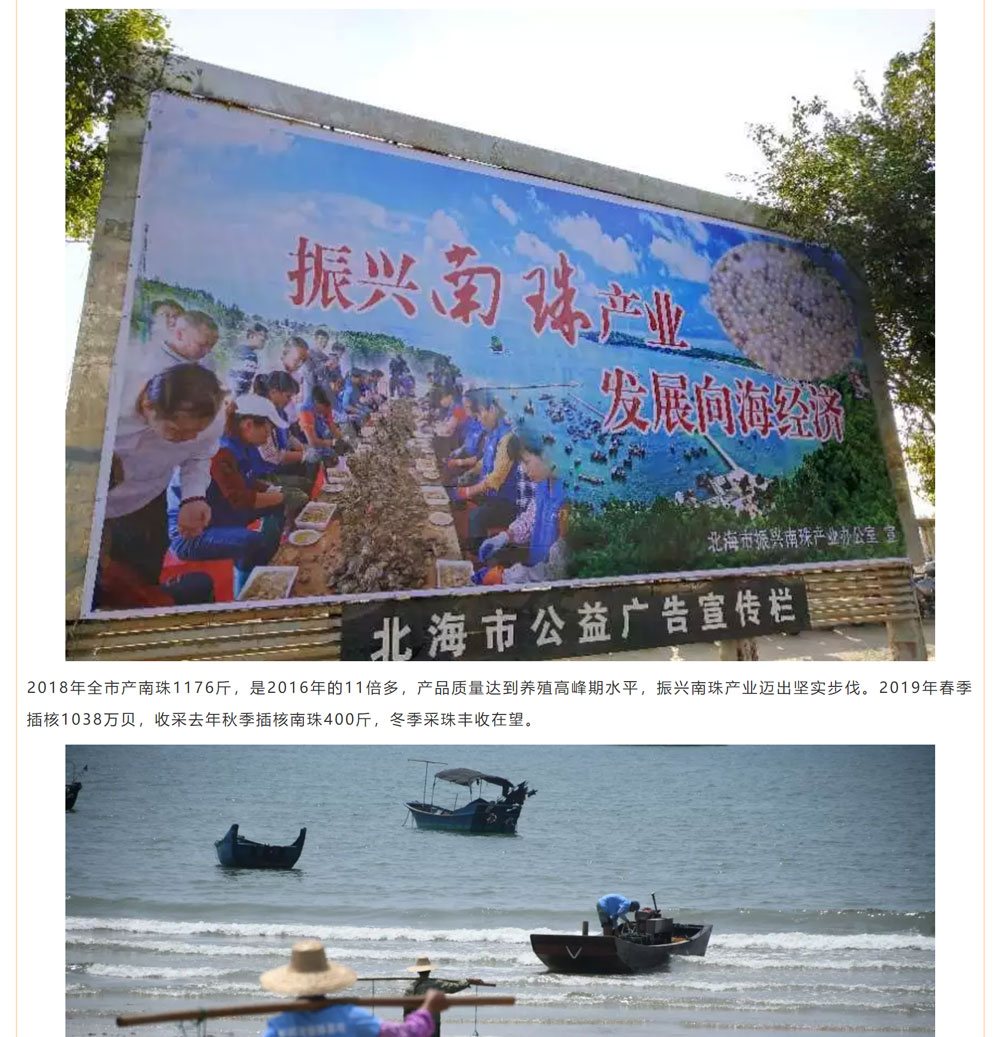 古老南珠，綻放異彩